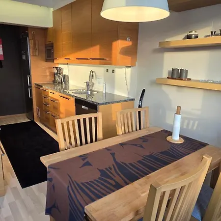 Premium Wanhatori Daire Rovaniemi